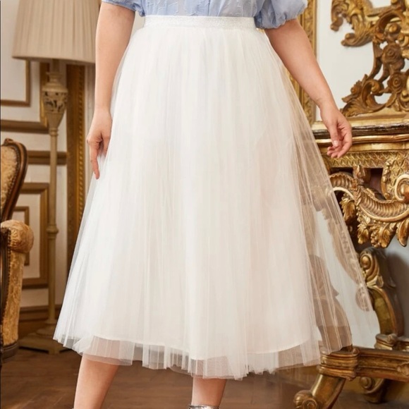 🤩host pick🤩Pleated mesh skirt - Picture 3 of 5